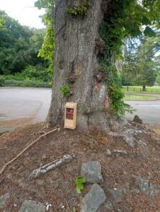 bug hotel on tree